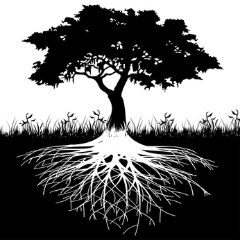 Fotolia 37977176 XS