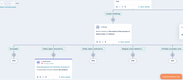 Abandoned Cart Workflow Branch Screen Cap