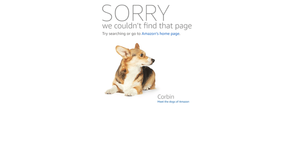 Amazon's 404 Page