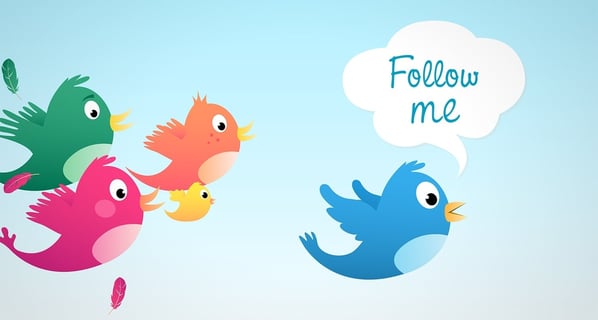 ÙØªÙØ¬Ø© Ø¨Ø­Ø« Ø§ÙØµÙØ± Ø¹Ù âªfollowers on Twitterâ¬â