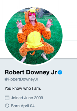 RDJ-Twitter-Bio