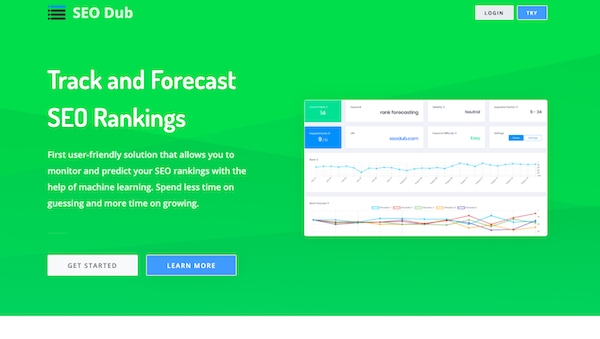 SEO-Dub-homepage