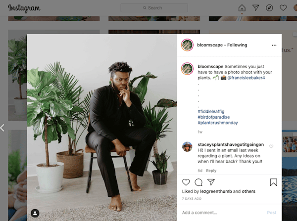 man sitting with plants in chair instagram screenshot
