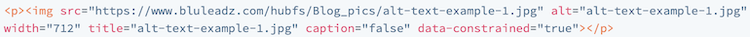 alt-text-html-code-example