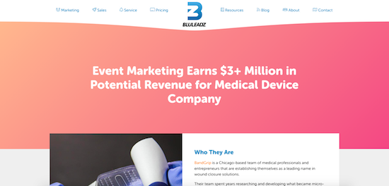 technical case study examples bluleadz-case-study