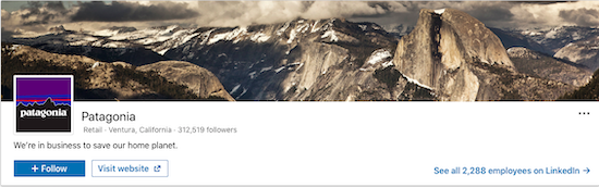 patagonia-linkedin-header