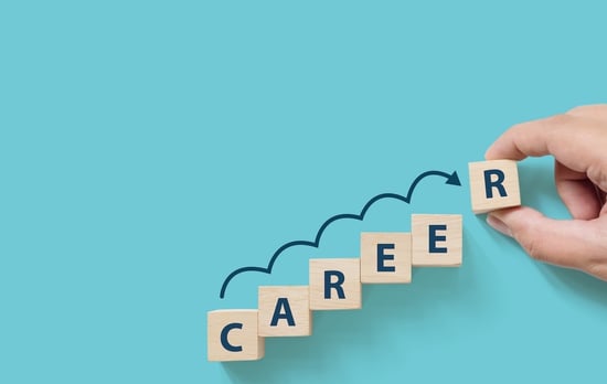 Career path