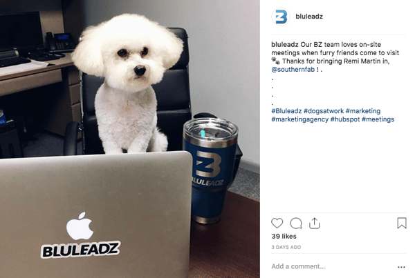 hashtags in Instagram captions