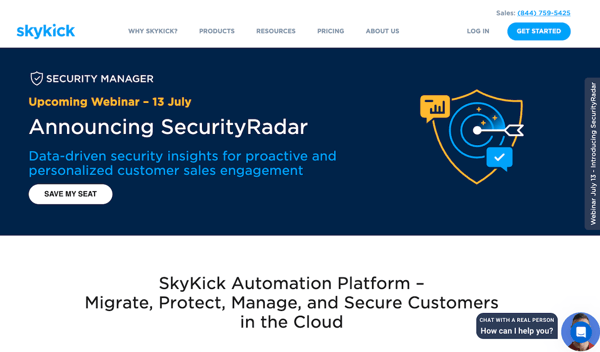 SkyKick IT Website