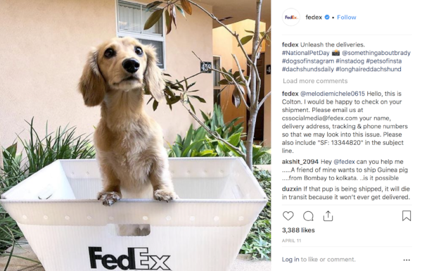 fedex instagram photo