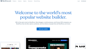 WordPress-Homepage