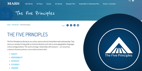7 Examples of Outstanding Company Culture